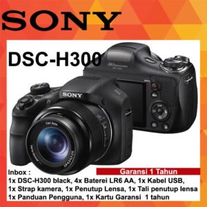 SONY Cyber-shot DSC H300